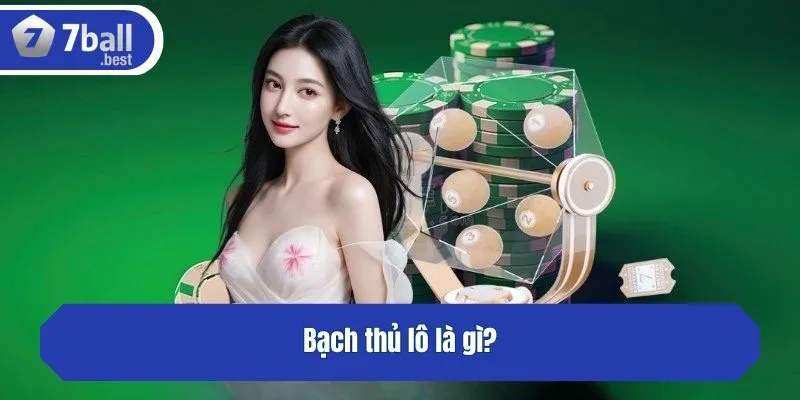 Bạch thủ lô là gì?