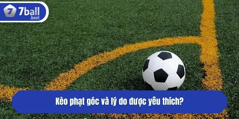 Kèo phạt góc và lý do được yêu thích?