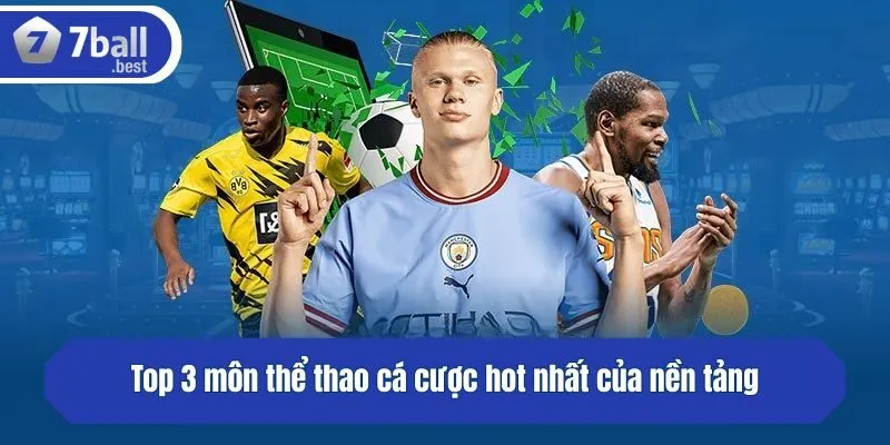 Top 3 môn thể thao cá cược hot nhất của nền tảng
